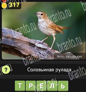 Игра Уникум Одноклассники решения Уровень 317