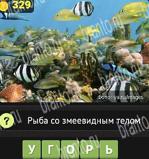 Уникум игра ответы Уровень 329