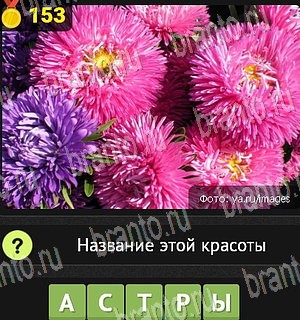 Уникум Одноклассники подсказки Уровень 153