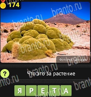 игра Уникум все ответы Уровень 174