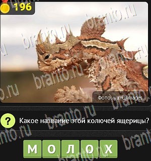 Уникум в Одноклассниках помощь Уровень 196