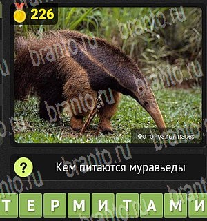 Уникум в Одноклассниках помощь Уровень 226