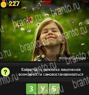 Игра Уникум Одноклассники решения Уровень 227