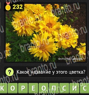 игра Уникум разгадки на все задания Уровень 232