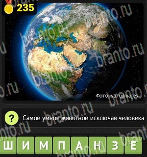 ответы на все уровни игры Уникум Уровень 235