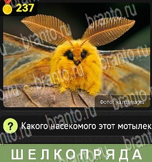 все решения к игре Уникум Уровень 237