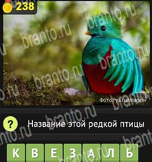 решения на все задания игры Уникум Уровень 238