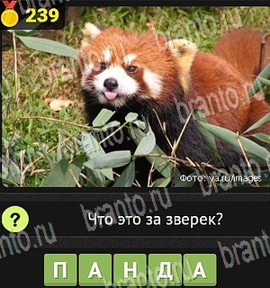 Уникум игра ответы Уровень 239