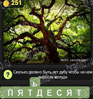 четыре фото 1 слово в Одноклассниках ответы Уровень 251