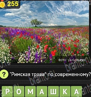 Уникум помощь Уровень 255