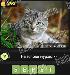 Уникум все ответы Уровень 293