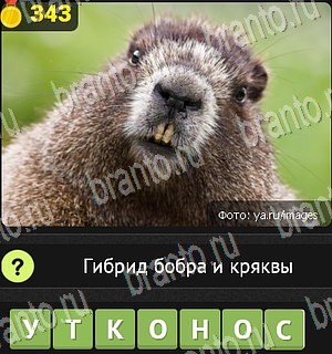 Уникум Одноклассники подсказки Уровень 343