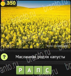 игра Уникум все отгадки Одноклассники Уровень 350
