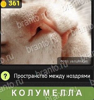 Уникум ответы Уровень 361