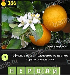 Одноклассники Уникум решебник к игре Одноклассники Уровень 366
