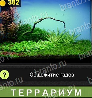 игра Уникум разгадки на все задания Уровень 382