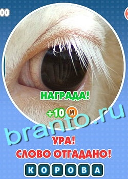 ответы на игру Увидел? Угадай! Уровень 121