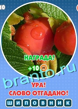 Увидел? Угадай! решения Уровень 132