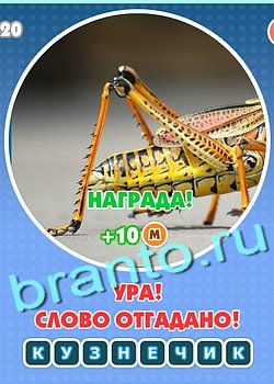 Увидел? Угадай! игра подсказки Уровень 134