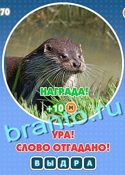 игра Увидел? Угадай! помощь Уровень 139