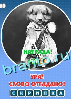 ответы Увидел? Угадай! в одноклассниках Уровень 146