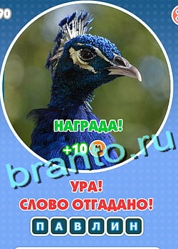 Увидел? Угадай! игра ответы Уровень 149