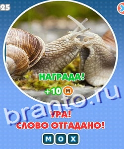 Подсказки на игру Увидел? Угадай! Уровень 202