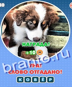 Помощь на игру Увидел? Угадай! Уровень 204