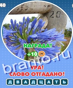ответы к игре Увидел? Угадай! Уровень 205