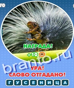 Увидел? Угадай! ответы Уровень 208