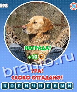 Игра Увидел? Угадай! ответы Уровень 217