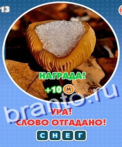 игра Увидел? Угадай! помощь Уровень 219