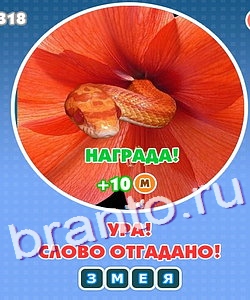 Прохождение игры Увидел? Угадай! Уровень 224