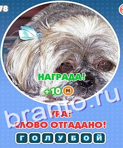 игра в одноклассниках Увидел? Угадай! ответы Уровень 230