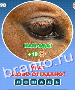 ответы на игру Увидел? Угадай! в скриншотах