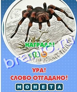 Увидел? Угадай! помощь Уровень 250