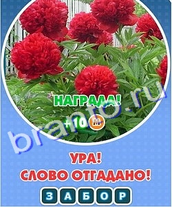 Увидел? Угадай! решения Уровень 252