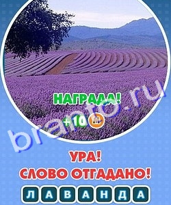 Игра Увидел? Угадай! подсказки Уровень 258