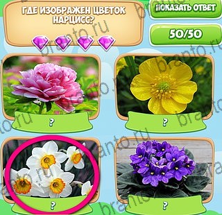 Решения на игру Узнавайка в контакте Уровень 63