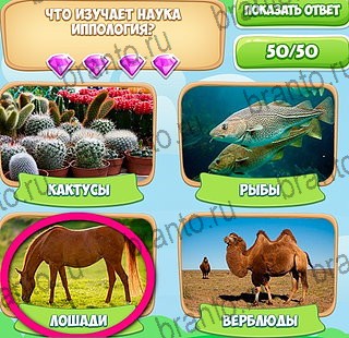 ответы к игре Узнавайка Уровень 65