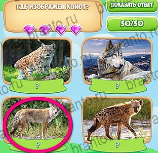 Узнавайка игра ответы в одноклассниках Уровень 67