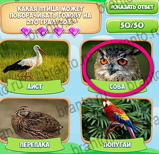 игра Узнавайка помощь ВК Уровень 79