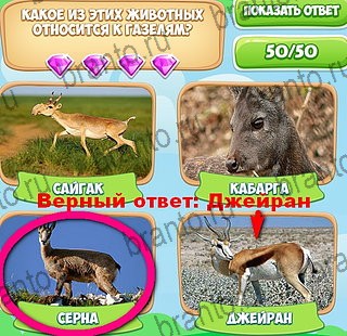 ответы к игре Узнавайка Уровень 95