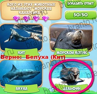 решебник на игру Узнавайка Уровень 111