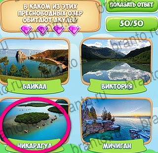 Узнавайка решения Уровень 112