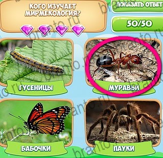 Узнавайка ответы в картинках Уровень 116