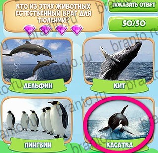 ответы на игру Узнавайка в одноклассниках Уровень 120