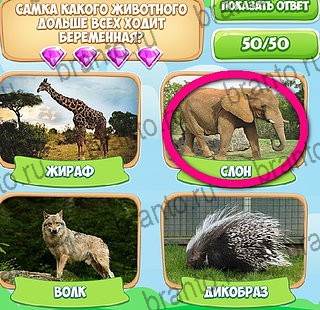 ответы к игре Узнавайка Уровень 125