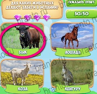 Узнавайка игра в одноклассниках помощь Уровень 135