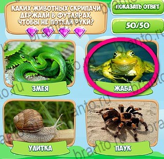 решебник на игру Узнавайка Уровень 171